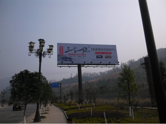 武陵源大劇院旁單立柱廣告位置基本情況